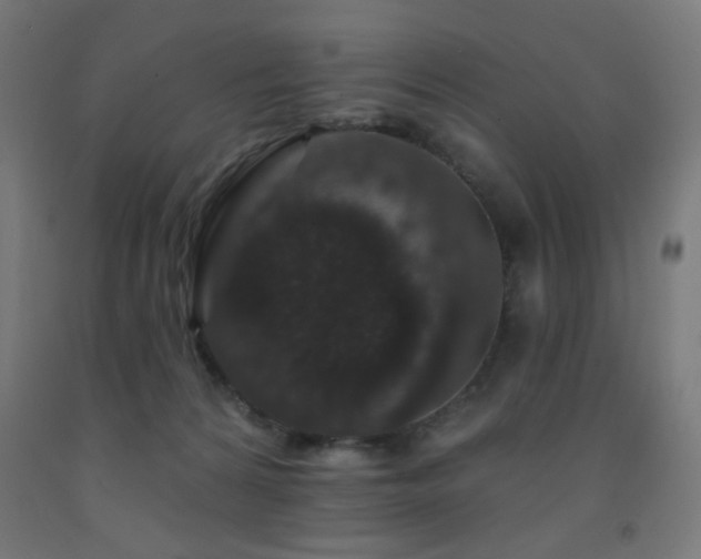 X0000093140224200709261431