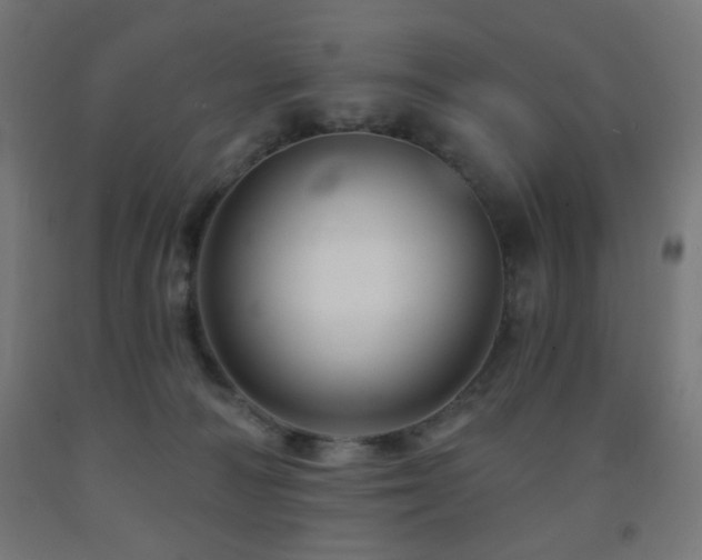 X0000093140226200709261431