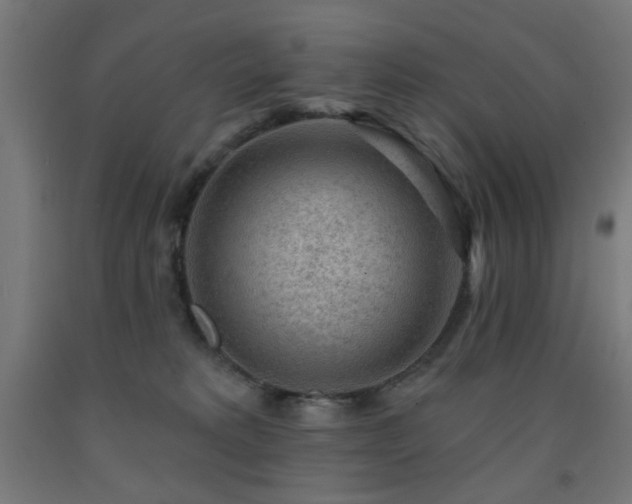 X0000093140229200709261431