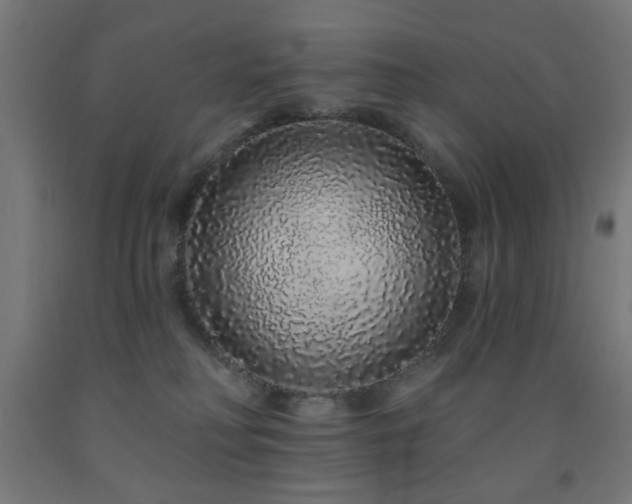 X0000093140230200709261431