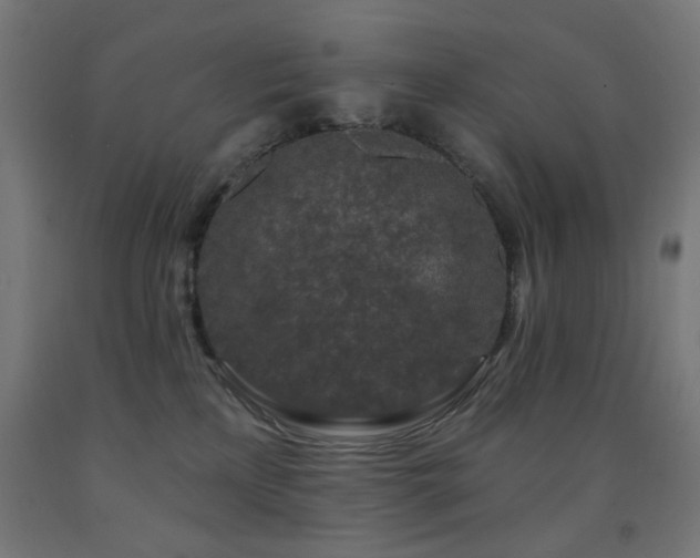 X0000093140233200709261431