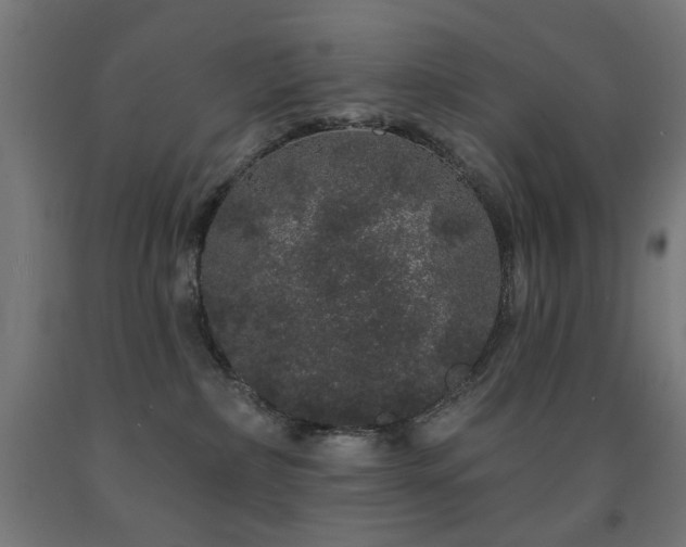 X0000093140236200709261431