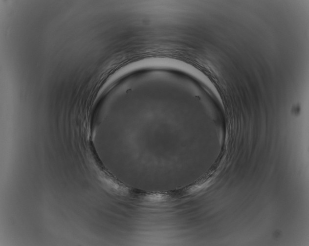 X0000093140237200709261431