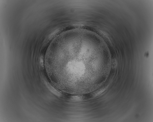 X0000093140238200709261431