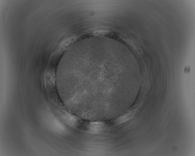 X0000093140240200709261431