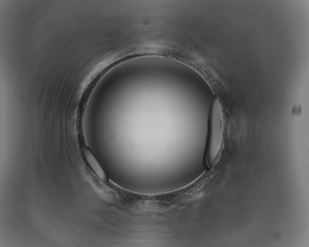 X0000093140244200709261430
