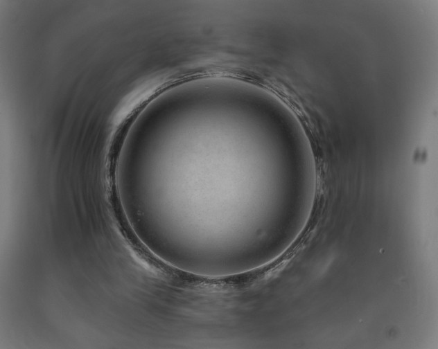 X0000093140245200709261430