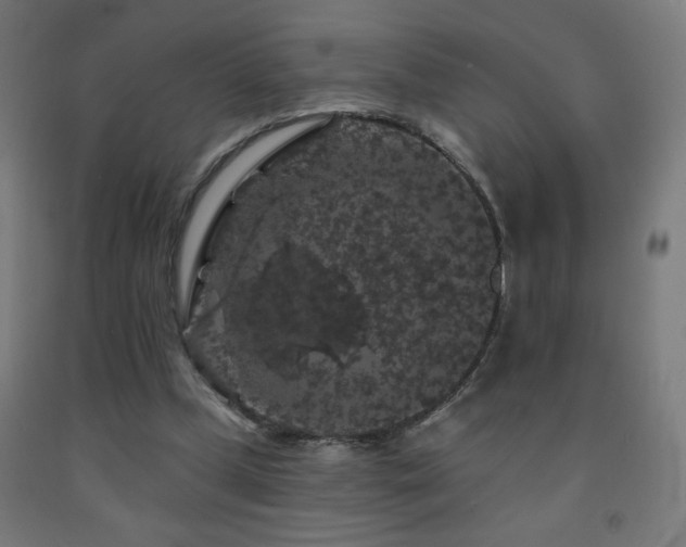X0000093140249200709261430