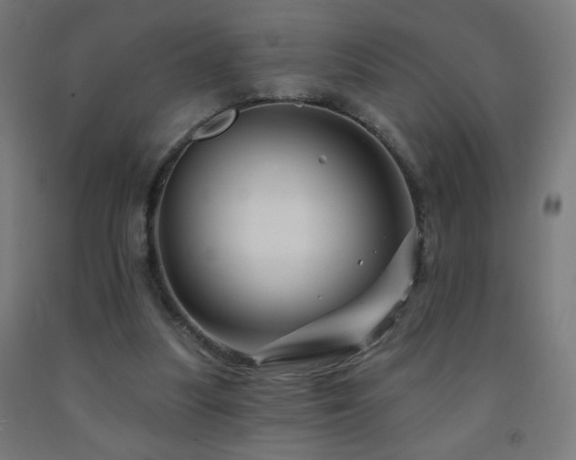 X0000093140251200709261430