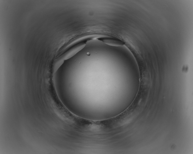 X0000093140255200709261430