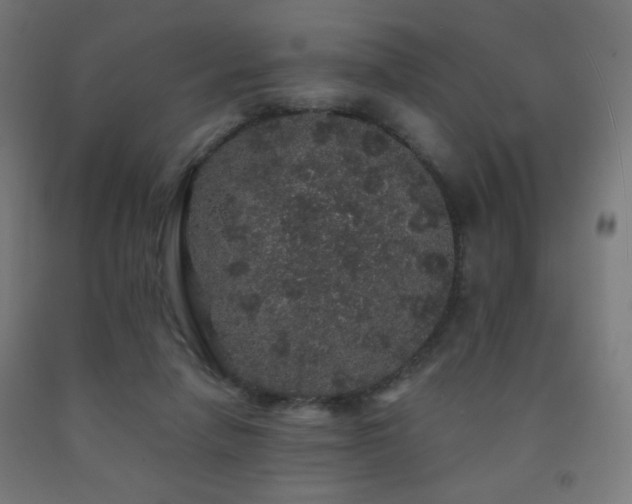 X0000093140258200709261430