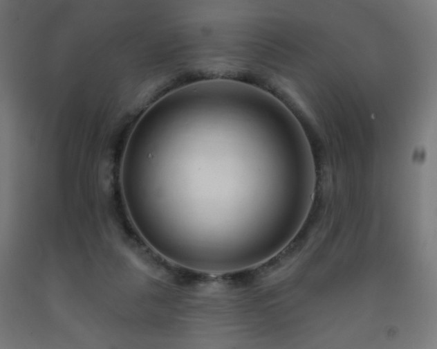 X0000093140259200709261430