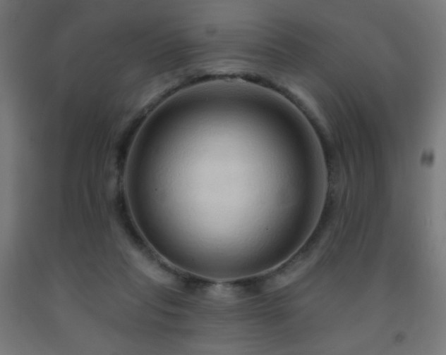 X0000093140261200709261430