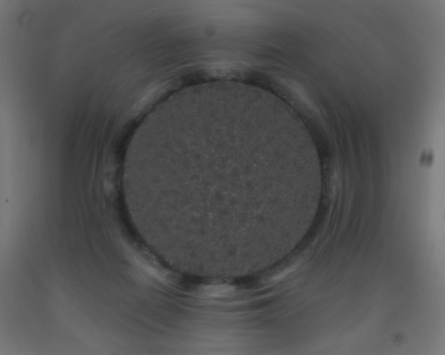 X0000093140266200709261430