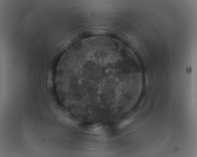 X0000093140267200709261430