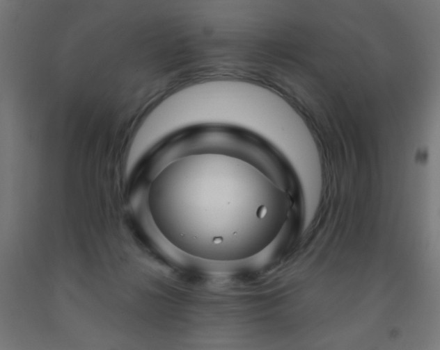 X0000093140268200709261430