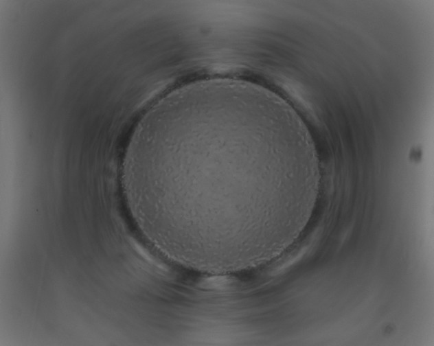 X0000093140269200709261430