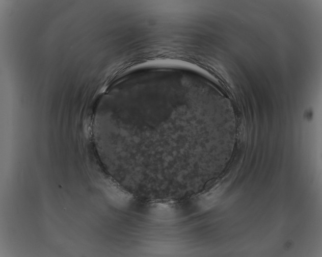X0000093140285200709261431