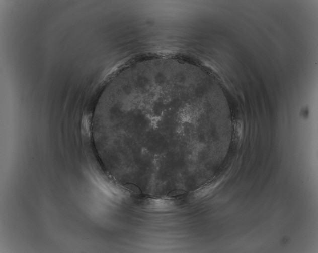 X0000093140286200709261431