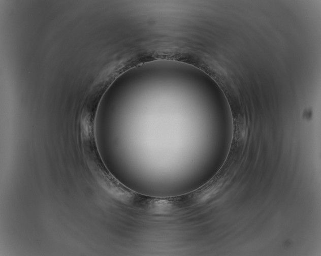 X0000093140287200709261431