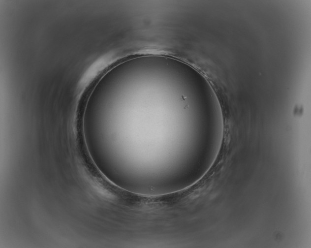 X0000093140296200709261430