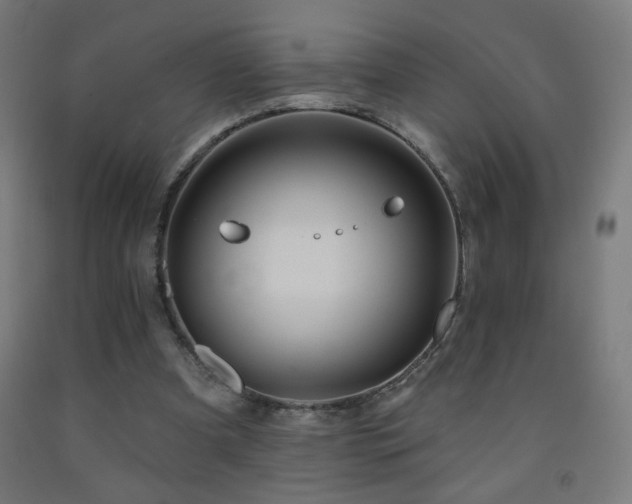 X0000093140297200709261430