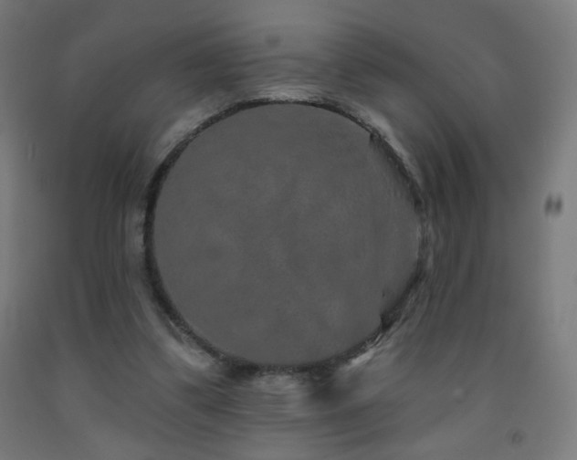 X0000093140299200709261430