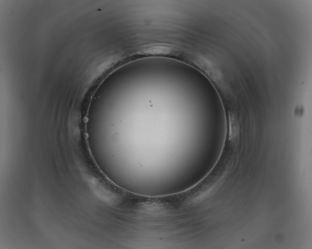 X0000093140300200709261430