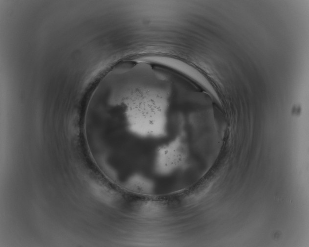X0000093140303200709261430