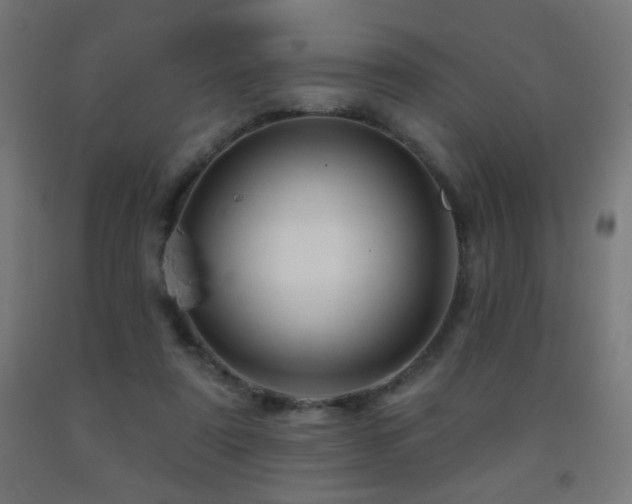 X0000093140307200709261430