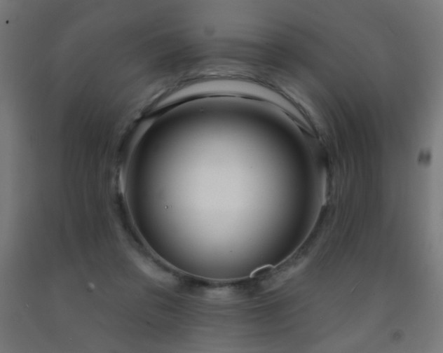 X0000093140309200709261430