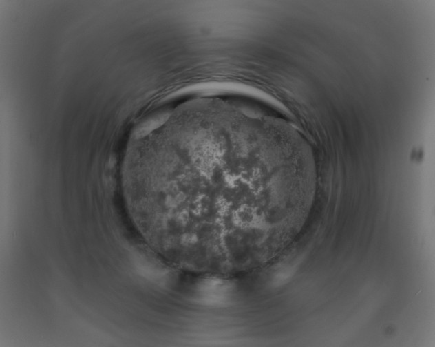 X0000093140319200709261430