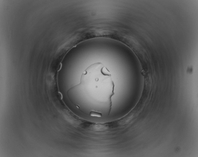 X0000093140327200709261429