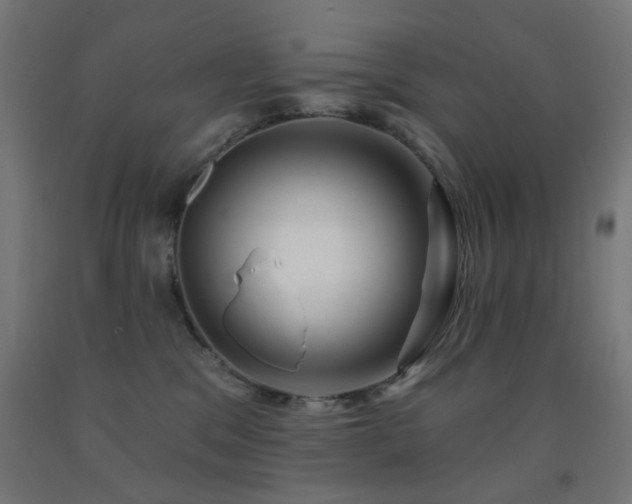 X0000093140329200709261429