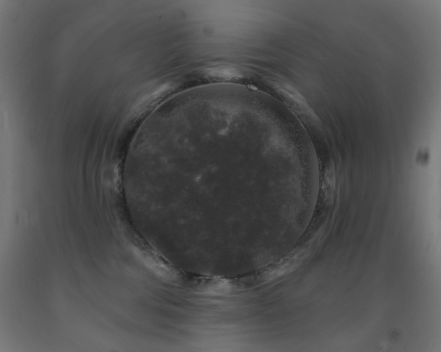 X0000093140330200709261429