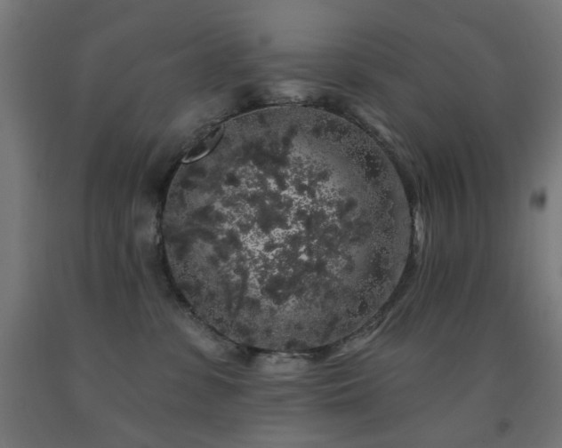 X0000093140331200709261429