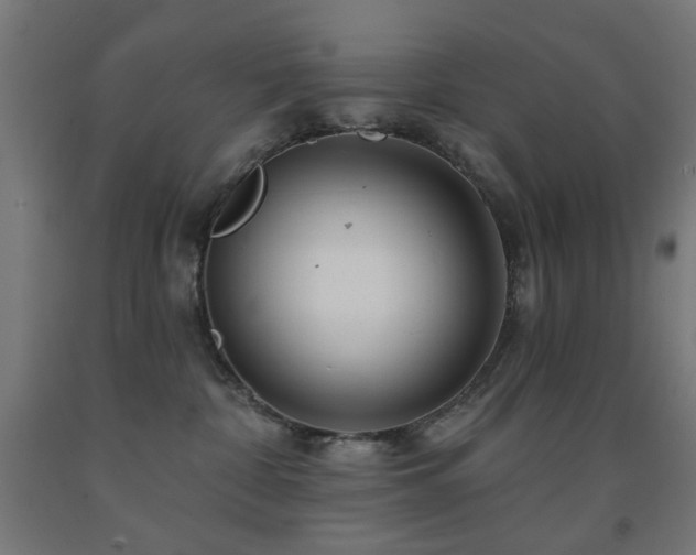 X0000093140332200709261429