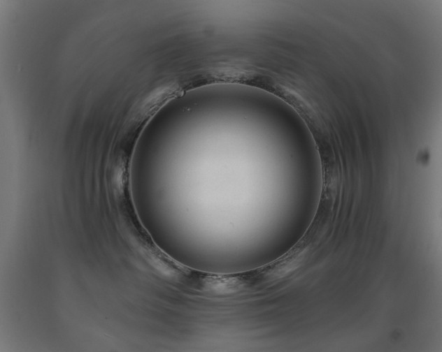 X0000093140334200709261429