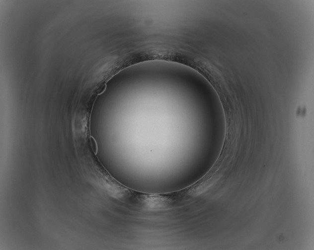 X0000093140336200709261429
