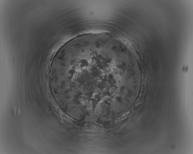 X0000093140337200709261429