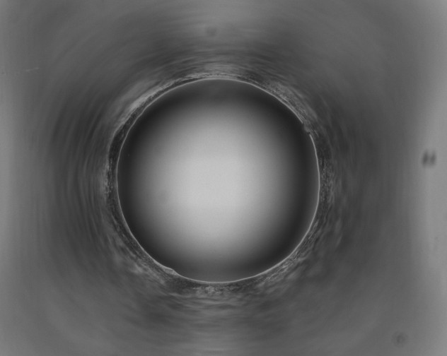 X0000093140338200709261429