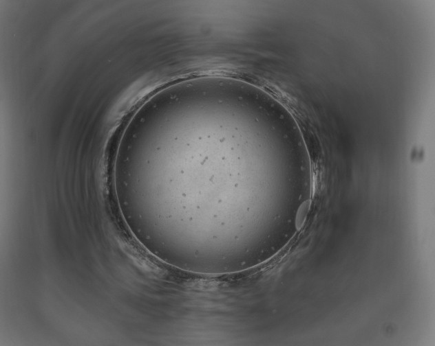X0000093140339200709261429