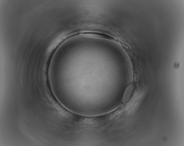 X0000093140341200709261429