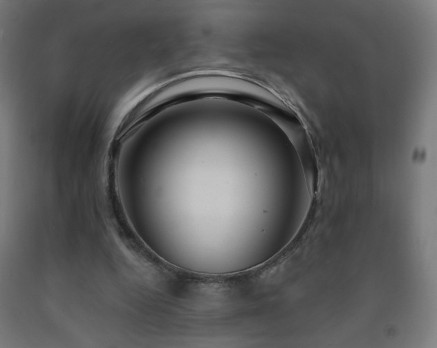 X0000093140344200709261429