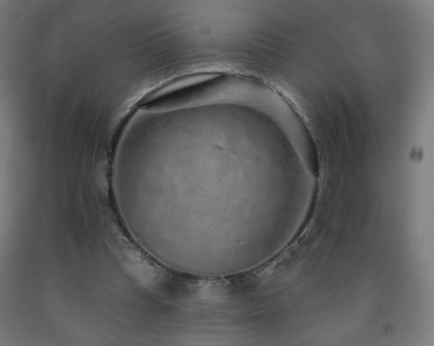 X0000093140345200709261429