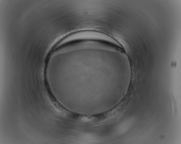 X0000093140346200709261429