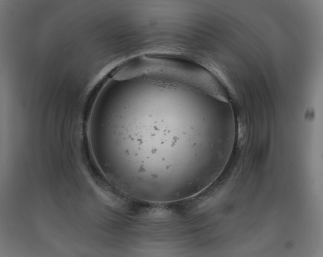 X0000093140348200709261429