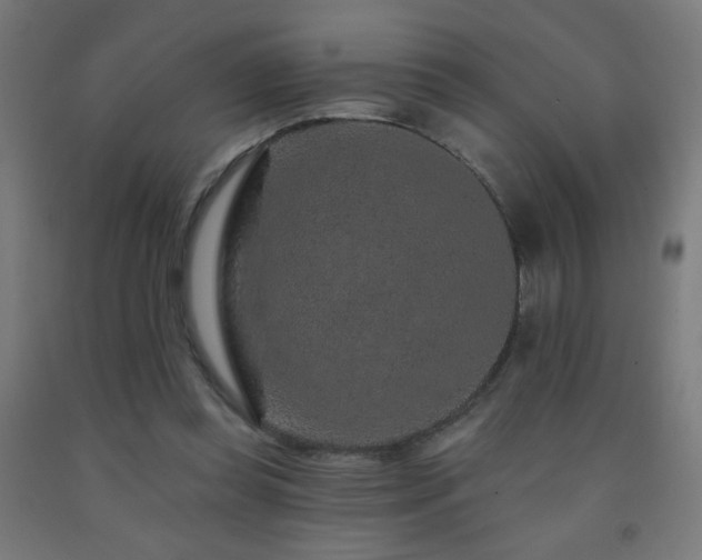 X0000093140349200709261429