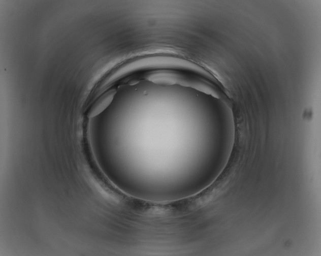 X0000093140350200709261429