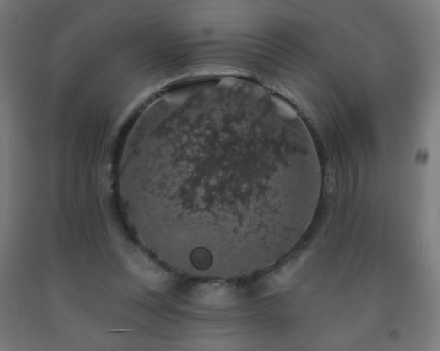 X0000093140351200709261429